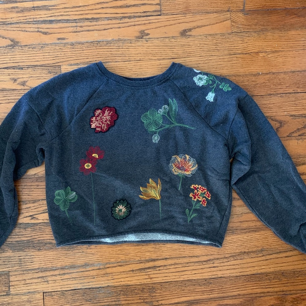 Zara Embellished Embroidered Crop Sweatshirt